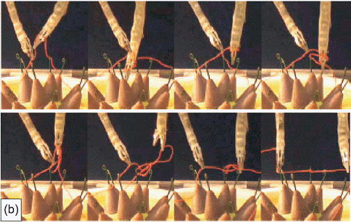 knot_tying